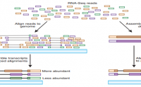 
استعمال طريقة RNA-Seq لدراسة نسبة نشاط الجينوم